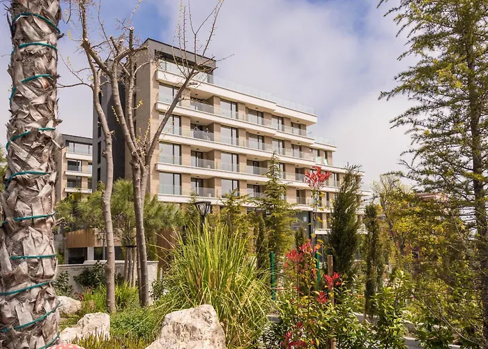 Designer 300m From The I Azur Panorama