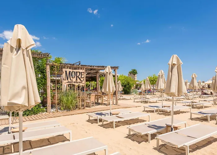 Designer 300m From The I Azur Panorama