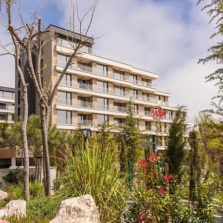 Designer 300m From The I Azur Panorama