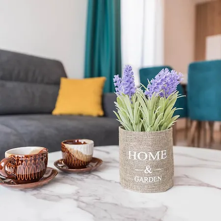 Designer 300m From The I Azur Panorama Saints Constantine and Helena